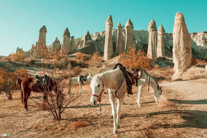 ¿Qué es Capadocia? Dónde Está y Su Historia horses Cappadocia